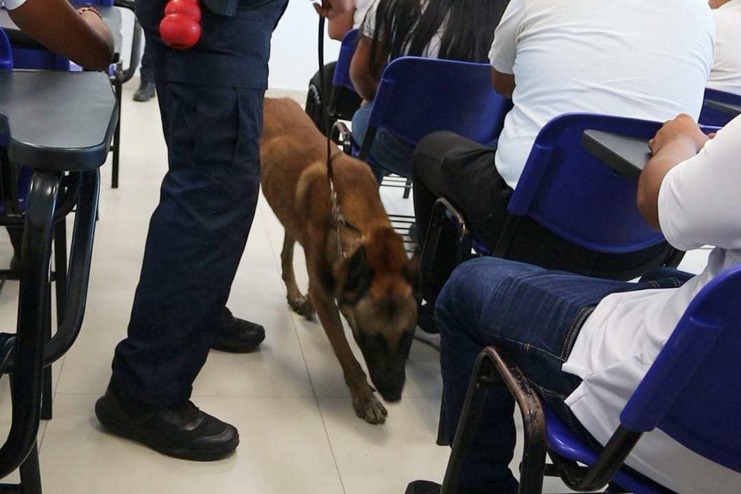 Binomios caninos realizan inspecciones en centros educativos