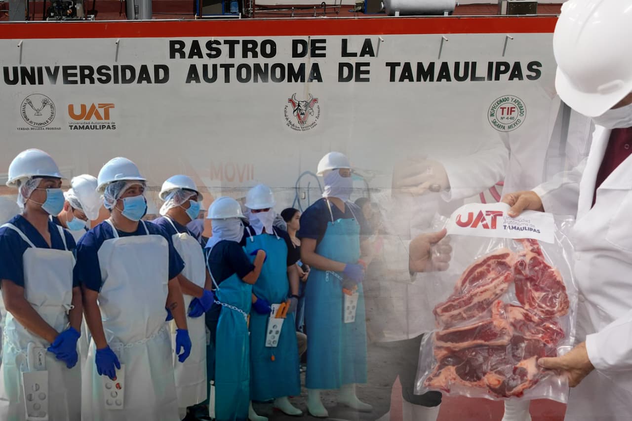 Rastro TIF de la UAT producirá carne para el mercado internacional