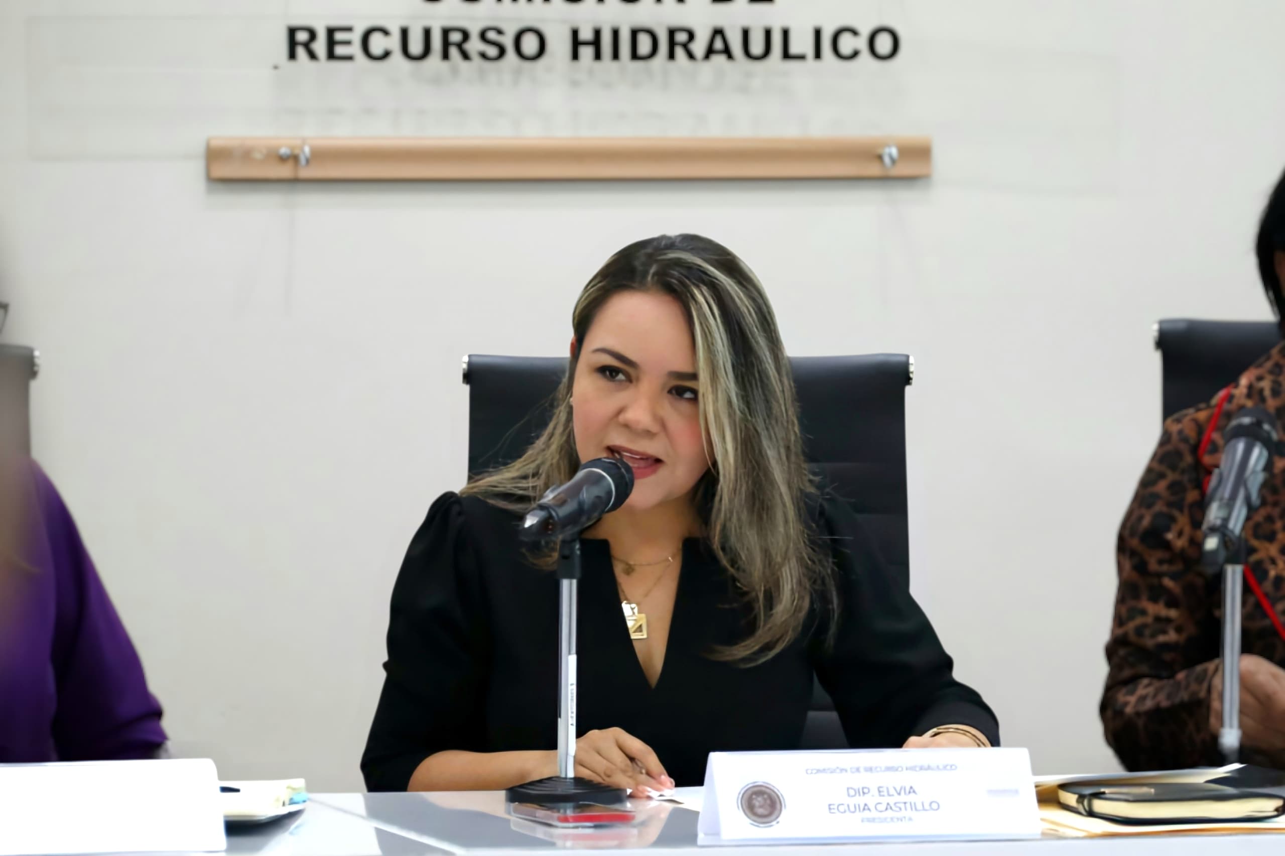 Diputada exige cárcel o reparación de daños a saqueadores de Comapas