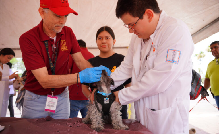 GOBIERNO DE CARMEN LILIA CANTUROSAS REFRENDA COMPROMISO CON BIENESTAR ANIMAL CON EXITOSA JORNADA DE VACUNACIÓN Y DESPARASITACIÓN