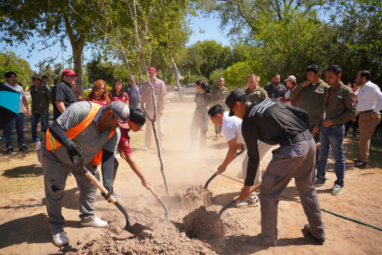 SE SUMA GOBIERNO DE CARMEN LILIA CANTUROSAS A JORNADA NACIONAL DE REFORESTACIÓN