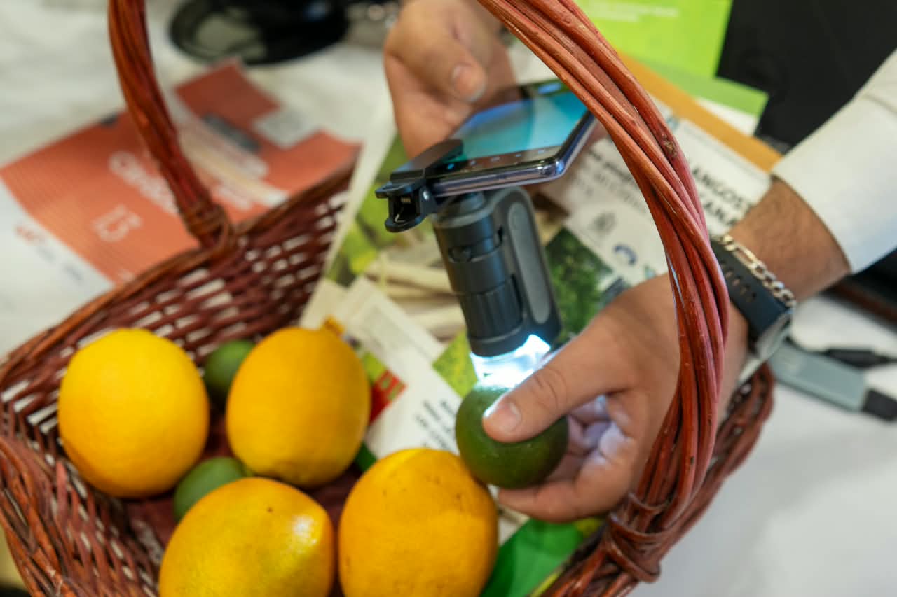 Estudiantes de la UAT desarrollan CitriScan, una innovadora aplicación para proteger la citricultura